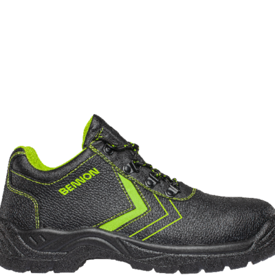 Alternative view of BASIC S1 Low