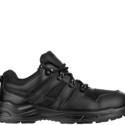 Alternative view of CONDOR O2 NM Low